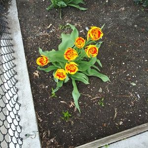 Meet your Posher, Stacy